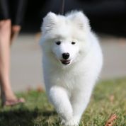 photograph by PeterW